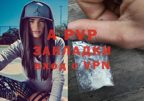 a pvp Белокуриха